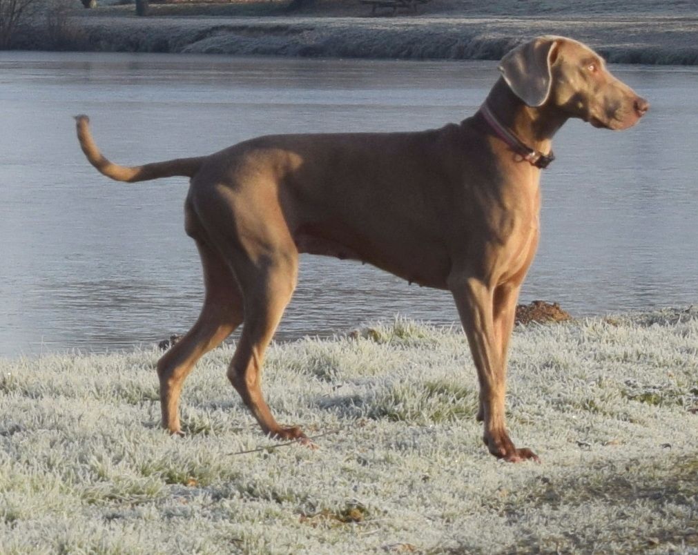 Hermione Soft Harmony