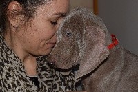 CHIOT bb rouge RAINBOW